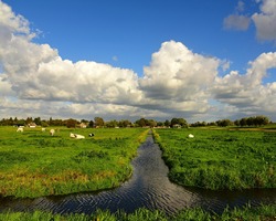 foto bij artikel